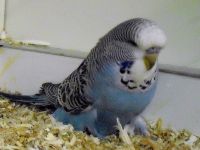 ws-babys2012.012.jpg